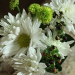 flowers.jpg