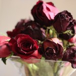 flowers.jpg