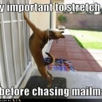 funnydogpicturesimportantstretch.jpg