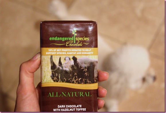 chocolate5