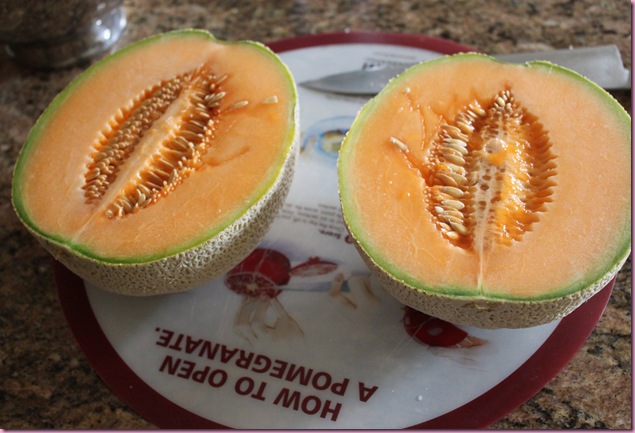 melon