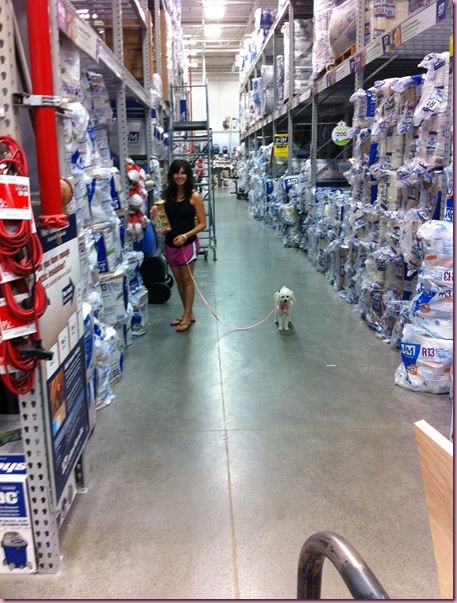 lowes