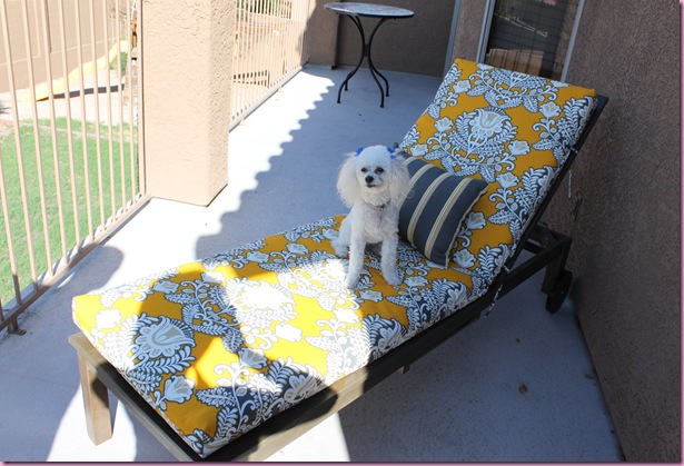 Bella on the balcony lounge chair