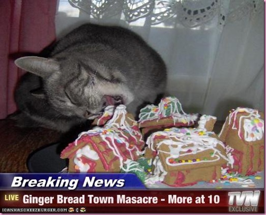 funny-pictures-cat-eats-gingerbread