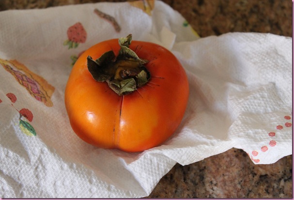 persimmon