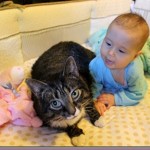 Babies and pets