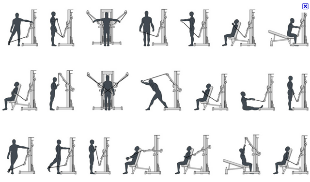 Weight Machine Workout Chart