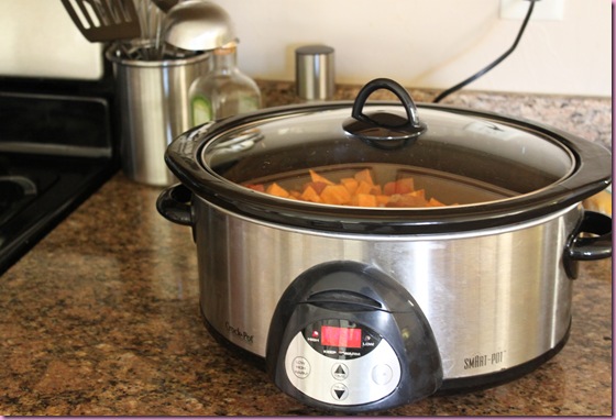 slow cooker