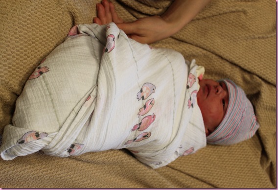 swaddle baby