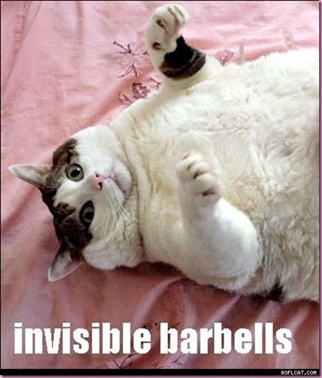 Invisible_Barbells