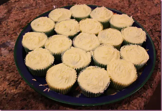 cupcakes3