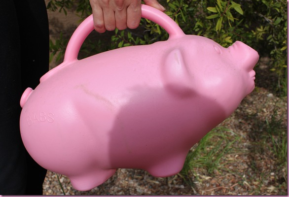 pig watering can