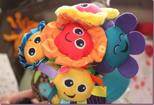 Lamaze flowers cheap