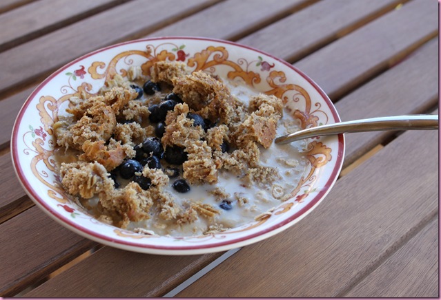 oats with muffin