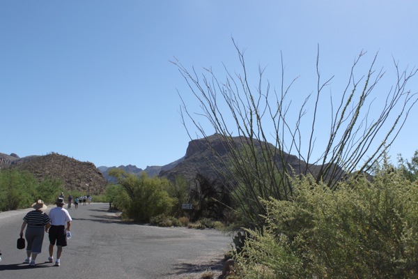 Sabino canyon2