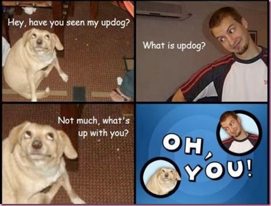 updog