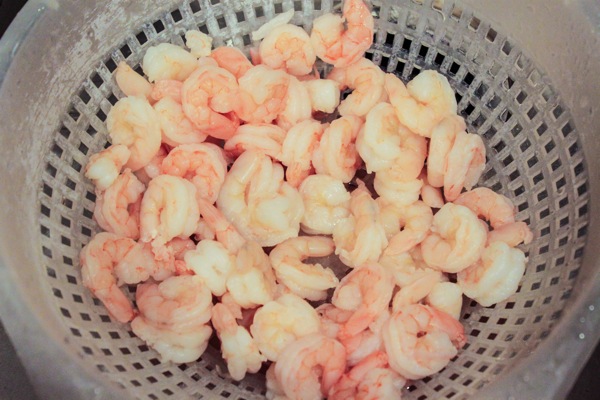 Shrimp