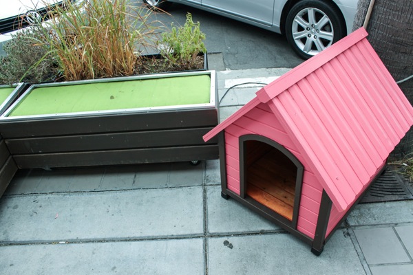 Dog house