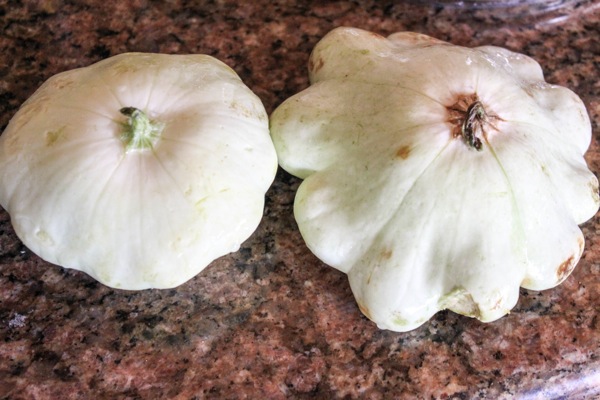 Pattypan