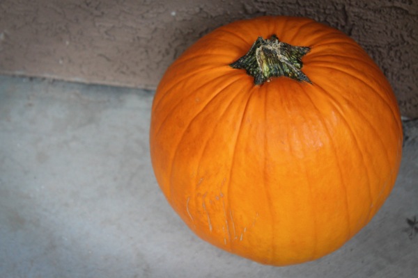 Pumpkin