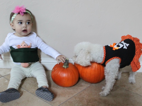 sushi roll baby costume