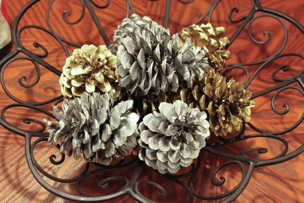 Pine cones