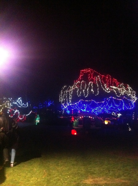 Zoo lights