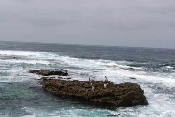 La jolla  1 of 1 3