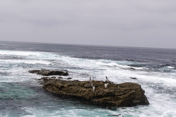 La jolla  1 of 1 5