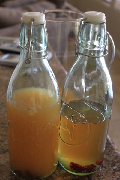 Kombucha  1 of 1 6