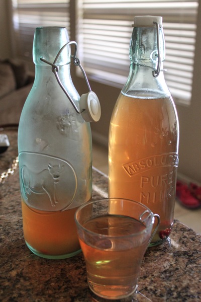 Kombucha5