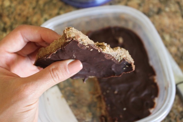 Protein fudge  1 of 1