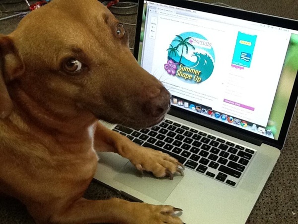 Blog dog