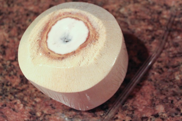 Coconut  1 of 1