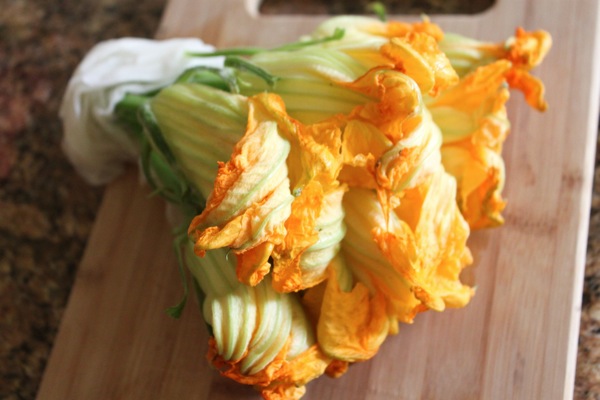 Squash blossoms  1 of 1