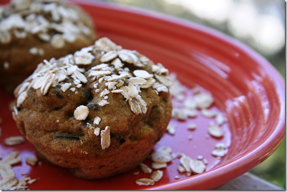 Butternut squash muffins