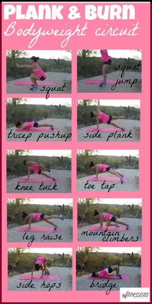 Plank and burn circuit