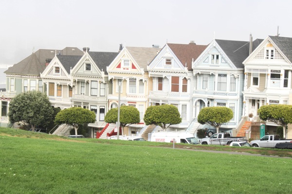 Painted ladies  1 of 1