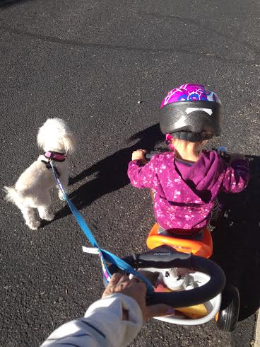 Livi on her trike