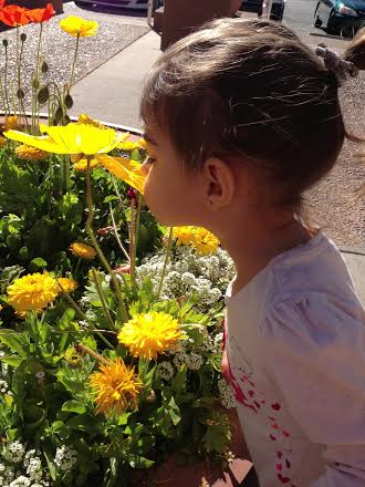 Smelling the flowers