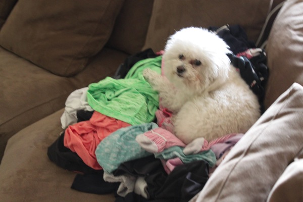 Laundry mountain  1 of 1