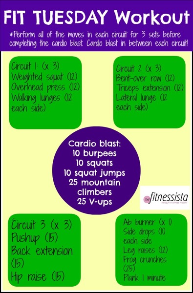 Full Body Circuit Workout