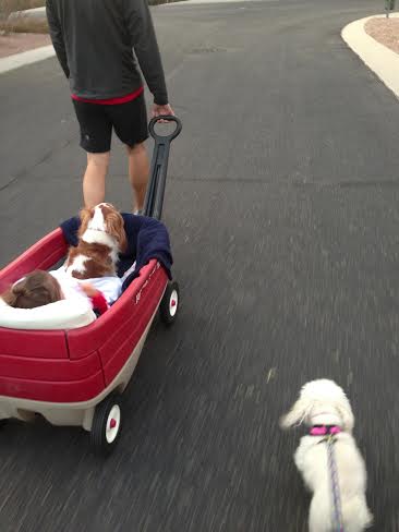 Family walk