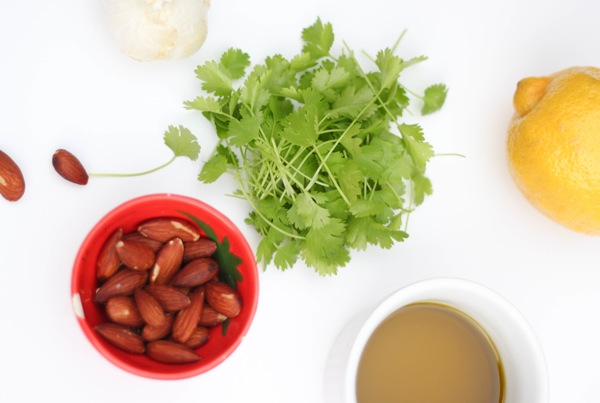 Cilantro pesto ingredients