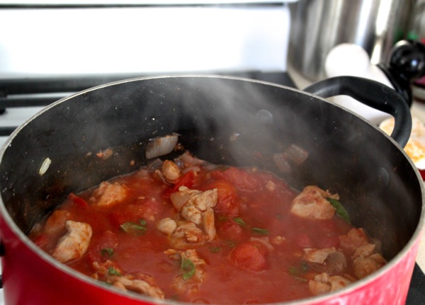 Chicken cacciatore  1 of 1