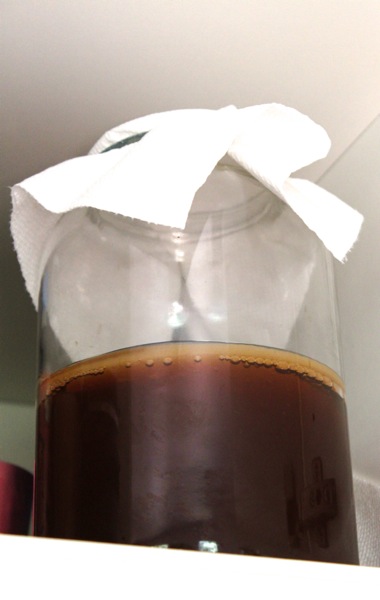 Kombucha  1 of 1 8