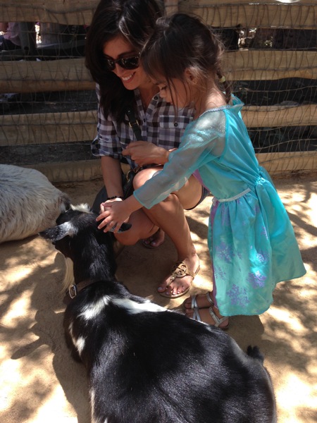 Petting the goats