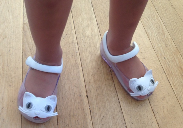 Cat shoes