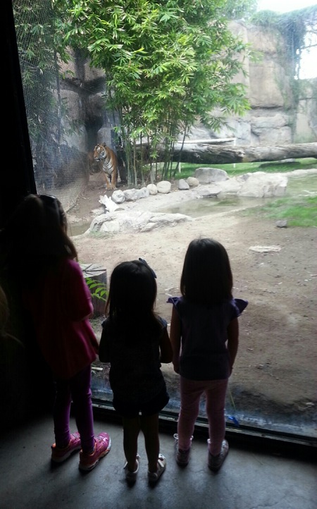 cousins-at-the-zoo.JPG