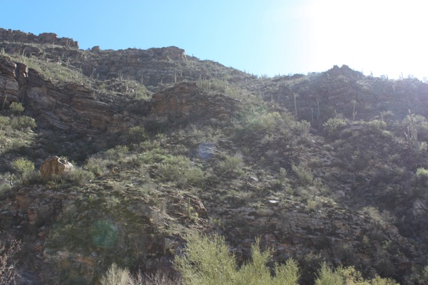 sabino-canyon.jpg